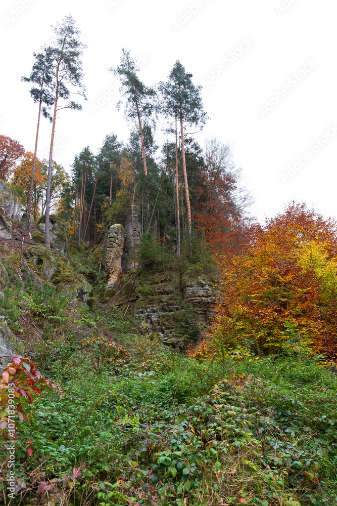 Colorful autumn Landscape in Bohemian Paradise, Czech Republic