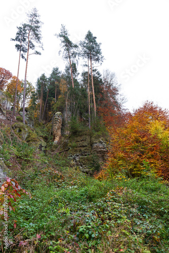 Obraz na płótnie Colorful autumn Landscape in Bohemian Paradise, Czech Republic w salonie