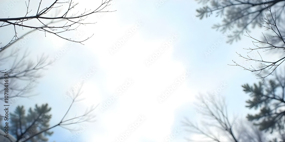 A snowy winter landscape with bare tree branches in the foreground against a blurred, overcast sky. A snowy winter landscape with bare tree branches in the foreground against a blurred, overcast sky.