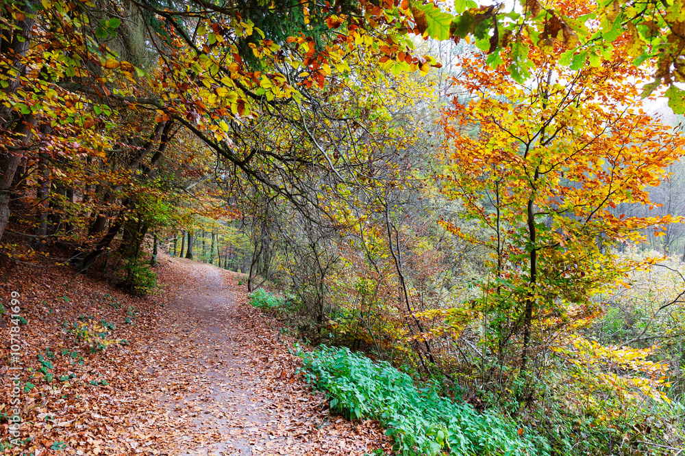 Colorful autumn Landscape in Bohemian Paradise, Czech Republic