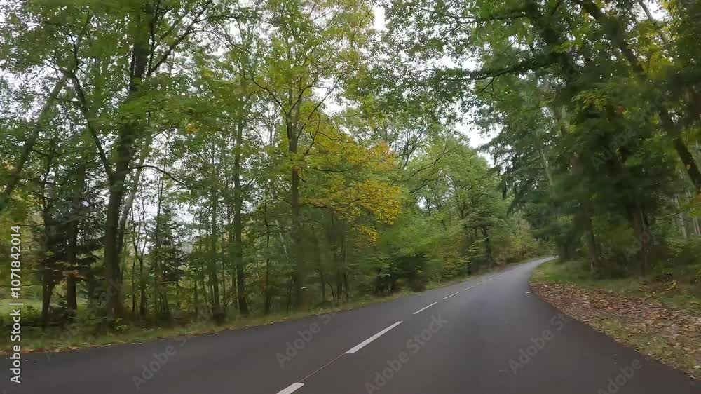Driving through a forest in autumn in Alsace, France Driving through a forest in autumn in Alsace, France