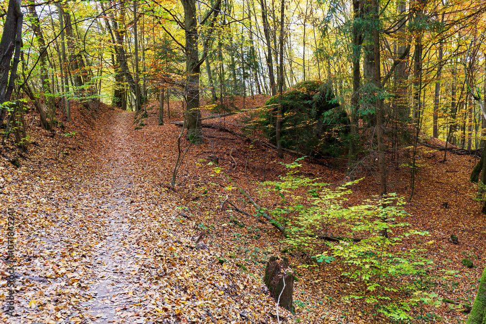 Colorful autumn Landscape in Bohemian Paradise, Czech Republic