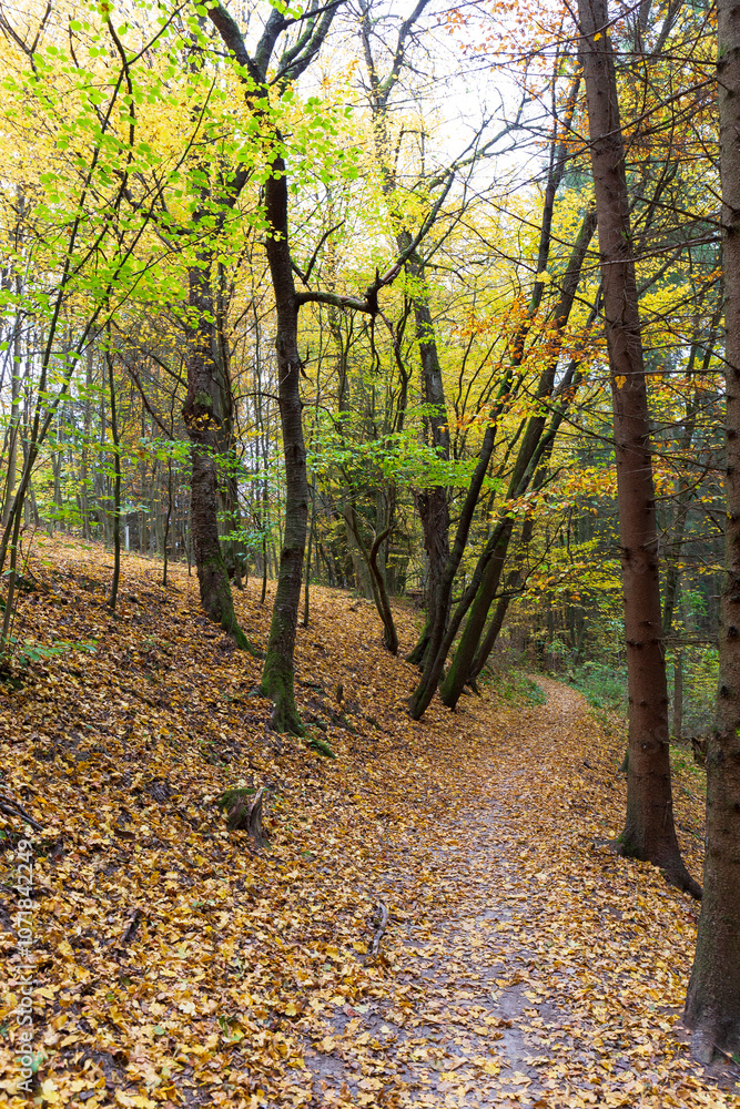 Colorful autumn Landscape in Bohemian Paradise, Czech Republic