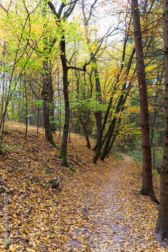 Obraz na płótnie Colorful autumn Landscape in Bohemian Paradise, Czech Republic w salonie