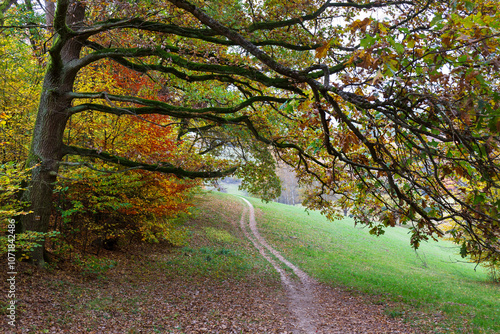Obraz na płótnie Colorful autumn Landscape in Bohemian Paradise, Czech Republic w salonie