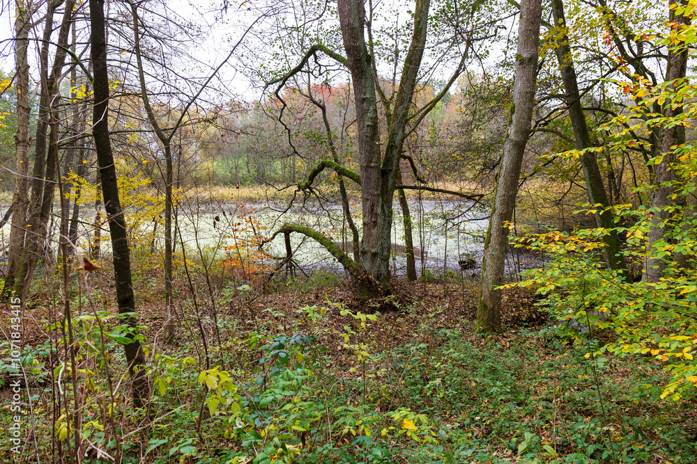 Colorful autumn Landscape in Bohemian Paradise, Czech Republic