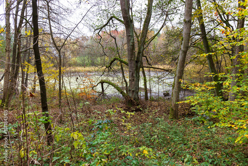 Colorful autumn Landscape in Bohemian Paradise, Czech Republic 