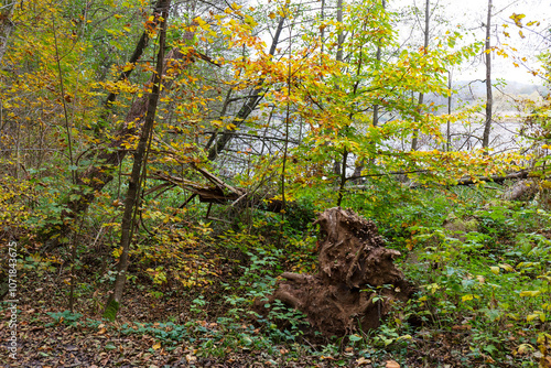 Obraz na płótnie Colorful autumn Landscape in Bohemian Paradise, Czech Republic w salonie