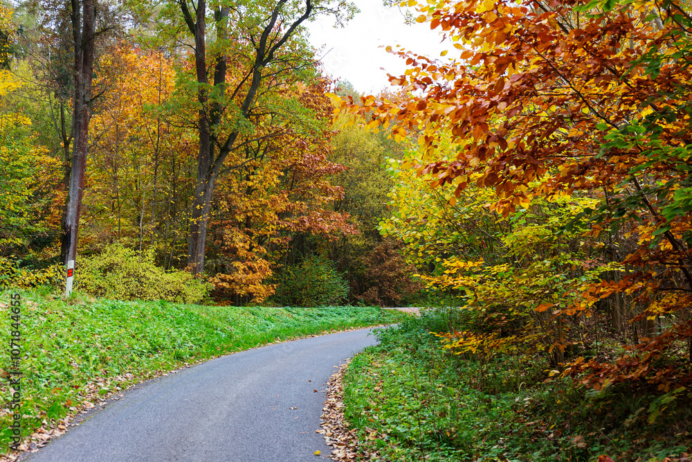 Colorful autumn Landscape in Bohemian Paradise, Czech Republic