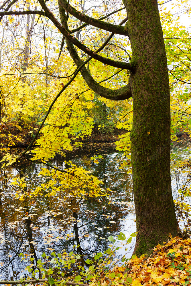 Colorful autumn Landscape in Bohemian Paradise, Czech Republic