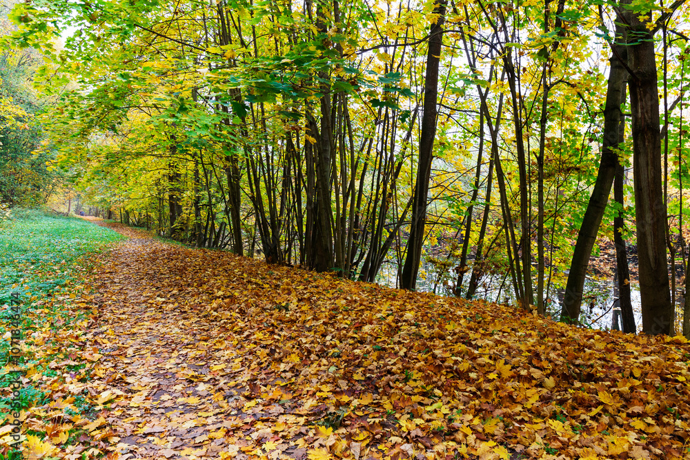 Colorful autumn Landscape in Bohemian Paradise, Czech Republic