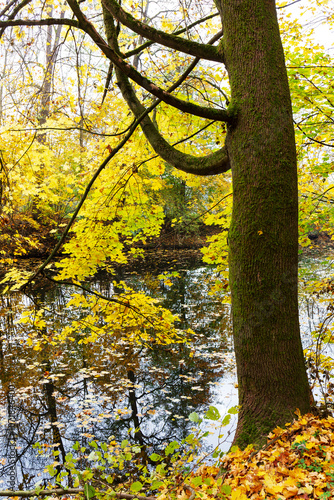 Obraz na płótnie Colorful autumn Landscape in Bohemian Paradise, Czech Republic w salonie