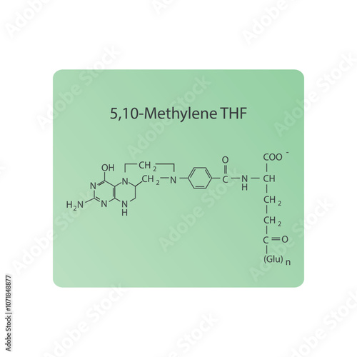 5,10-Methylene THF skeletal structure diagram.Vitamin B9 compound molecule scientific illustration.
