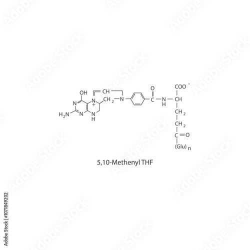 5,10-Methenyl THF skeletal structure diagram.Vitamin B9 compound molecule scientific illustration.