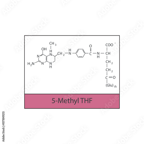 5-Methyl THF skeletal structure diagram.Vitamin B9 compound molecule scientific illustration.