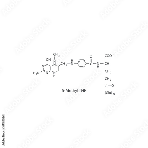 5-Methyl THF skeletal structure diagram.Vitamin B9 compound molecule scientific illustration.