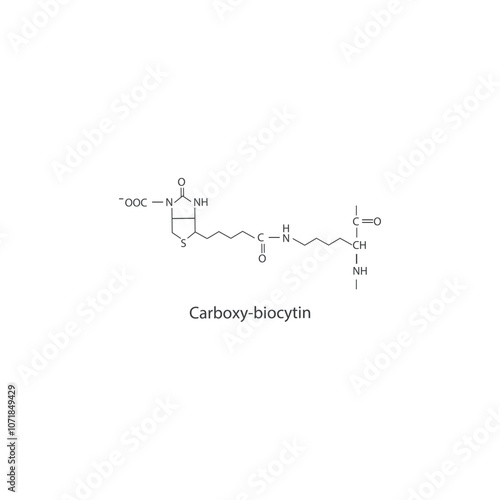 Carboxy-biocytin skeletal structure diagram.Vitamin B7 compound molecule scientific illustration.