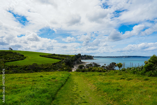 Wallpaper Mural Scenic Coastal Pathway with Lush Green Fields and Vibrant Blue Sky for Nature Lovers and Outdoor Enthusiasts in Serene Landscape Setting Torontodigital.ca
