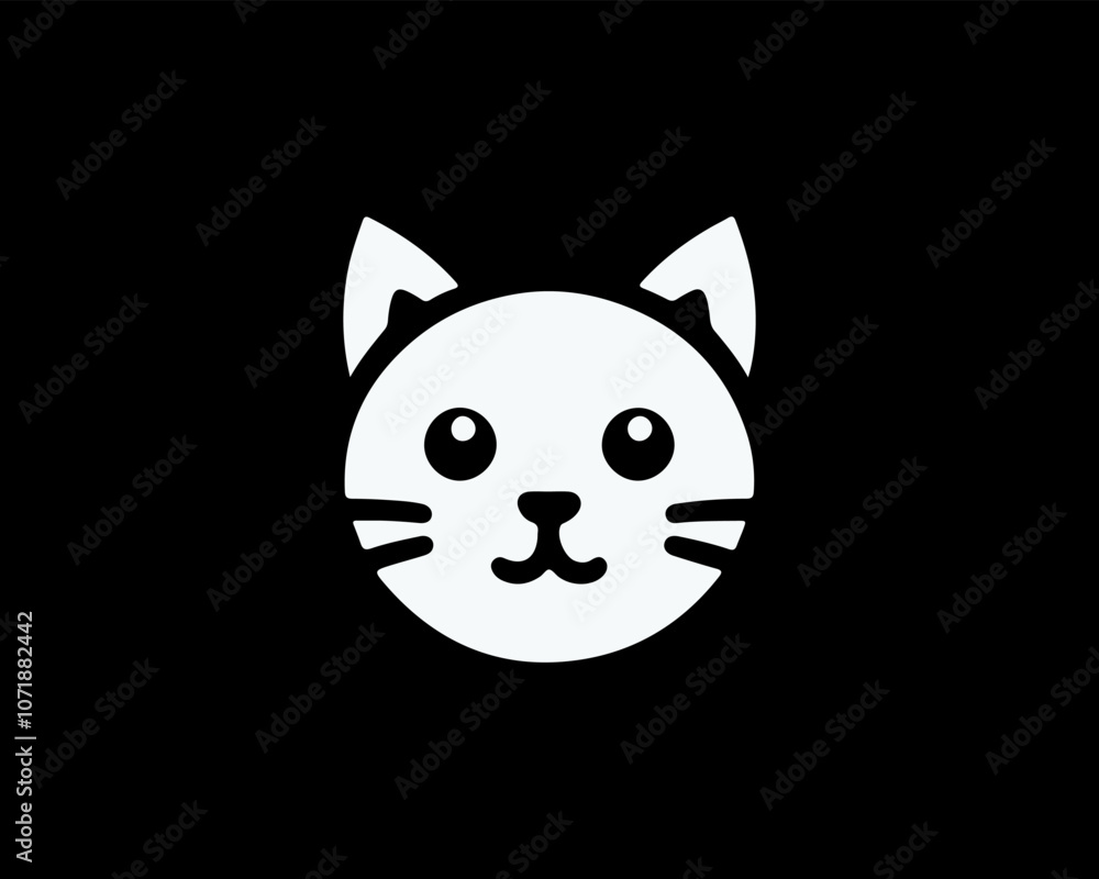 black and white cat black and white cat