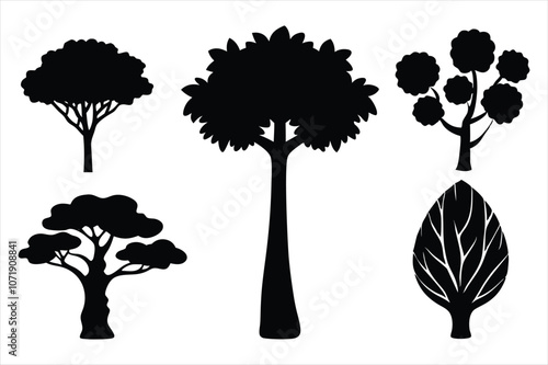 set of tree(Eucalyptus,Baobab,Sequoia,Linden,Fi,Cypress) silhouette vector illustration on white background.