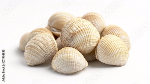 49.A grouping of fresh baby clams arranged in a loose pile on a white background. The clamsâ€™ soft, pastel-colored shells are smooth and polished, reflecting the light. The texture of each clam is