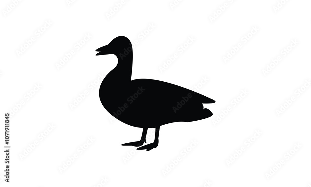 Duck Silhouette And Vector Illustration. Duck Silhouette And Vector Illustration.