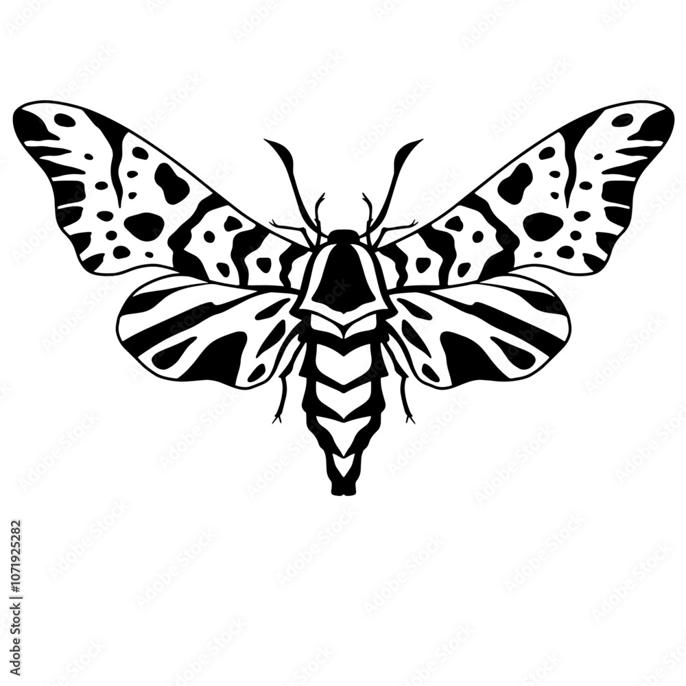Moth vector, Moth illustration, Surreal moth Moth vector, Moth illustration, Surreal moth