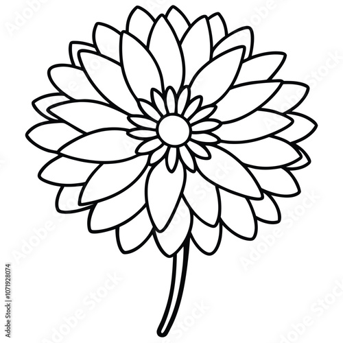 Aster Flower flat vector illustration