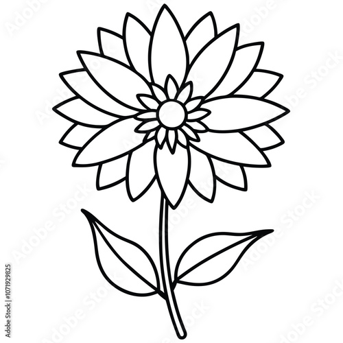 Aster Flower flat vector illustration