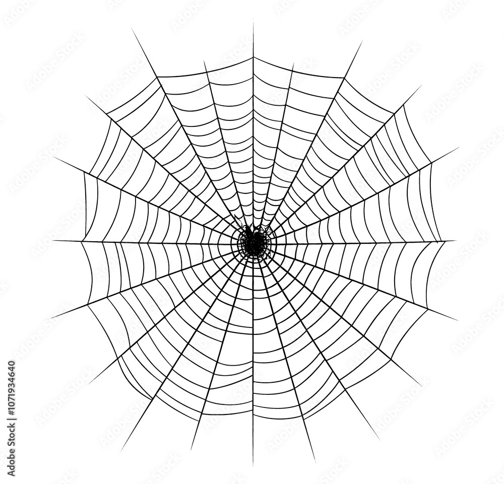 Obraz premium PNG Spider web backgrounds white background concentric.