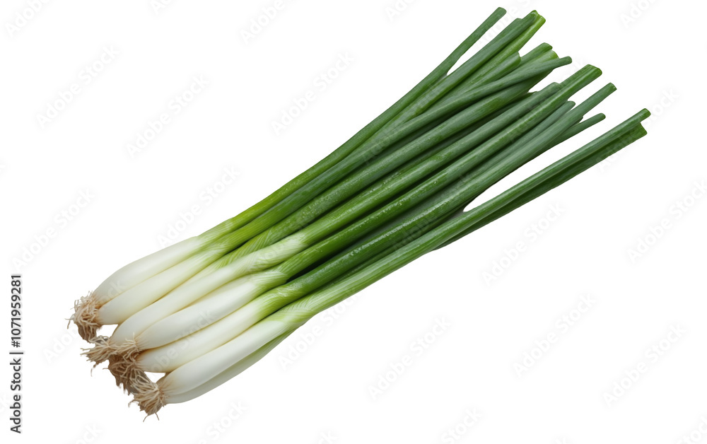 PNG object on clear backdrop. A fresh bunch of green onions on a white background, offering culinary versatility and flavor enhancement. Isolated on transparent background. PNG object on clear backdrop. A fresh bunch of green onions on a white background, offering culinary versatility and flavor enhancement. Isolated on transparent background.