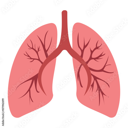 Set of human lung in a flat style vector icon illustration. Human internal organ, anatomy, body part.