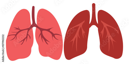 Set of human lung in a flat style vector icon illustration. Human internal organ, anatomy, body part.