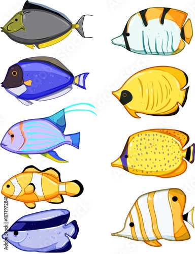exotic fish set cartoon. saltwater betta, cichlid angel, discus tetra exotic fish sign. isolated symbol vector illustration