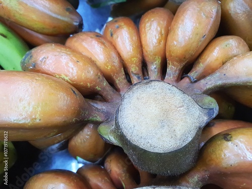 Red Banana on sale. Red Banana from Malaysia on display at a asian market close up view of the bunch of banana Retail industry photo