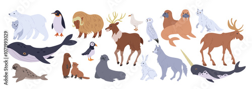 Antarctic animal. Snow wolf. Whale and polar bear. Sea seal. Scandinavia wildlife. Tundra fauna. Arctic frozen nature. Wild orca and walrus. North Pole. Bison and snowy deer. Vector winter mammals set
