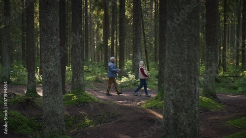 Positive senior man Nordic walking with sticks and cheerful aged woman running on forest trail, doing active lifestyle due health caring. Energetic elderly retirement people greet each other smiling