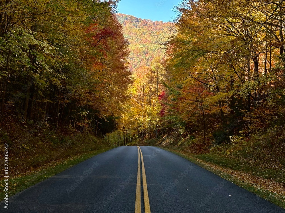 Appalachian Highway in autumn Appalachian Highway in autumn