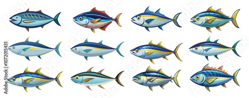 tuna fish vector illustration, sea fish tuna vector art