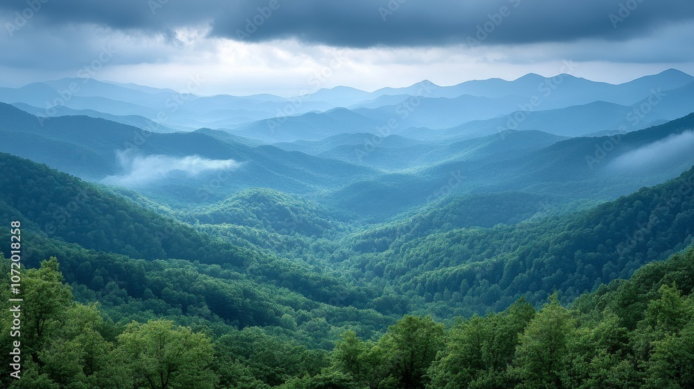 Obraz premium Misty Mountain Range Landscape