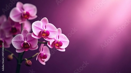 Vibrant digital creation with floral arrangement and purple backdrop scene, scene-gorgeous and flowers-delicate