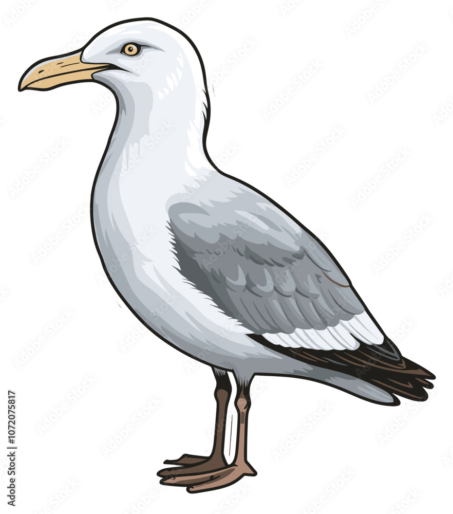 Herring gull Cartoon sticker illustration Herring gull Cartoon sticker illustration