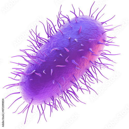 Micro bacterial E.Coli and virus infection.	