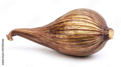 Isolated Fresh Fennel Bulb on a White Background for Culinary Use, Healthy Eating, and Dietary Presentation in Food Photography