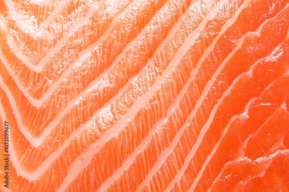 Fresh salmon as background, closeup. Sea food Fresh salmon as background, closeup. Sea food