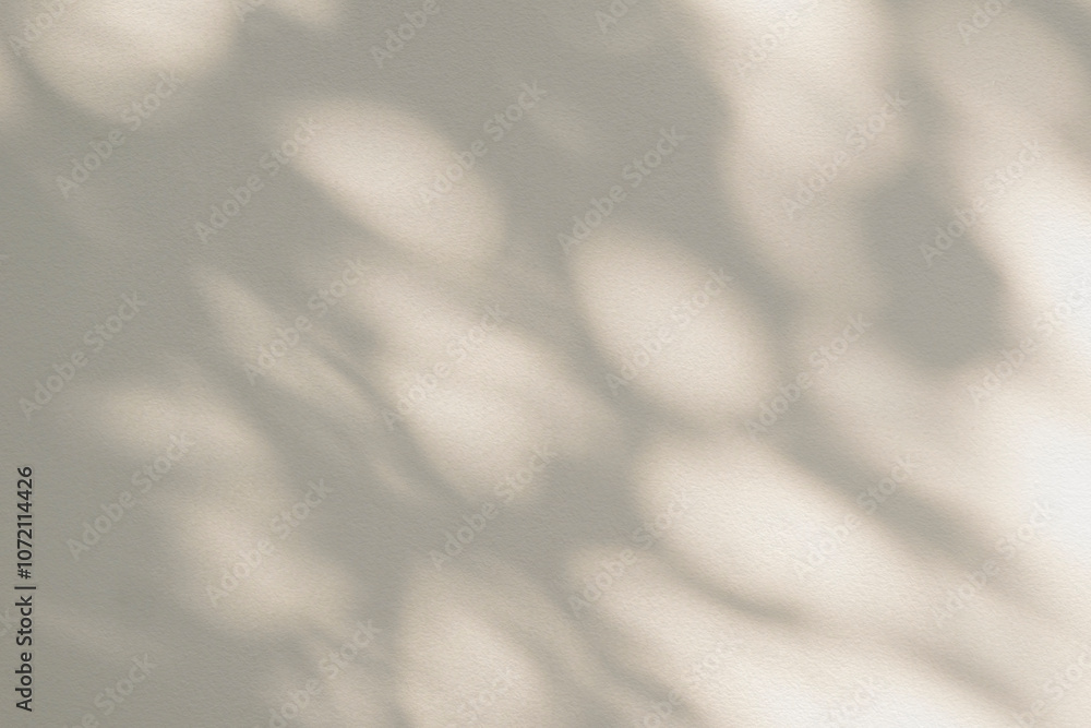 Obraz premium Shadow and sunshine with light of leaves reflection. Jungle gray darkness leaf plants shadows shade and lighting on wall background, Natural shadows overlay effect foliage mockup wallpaper and design
