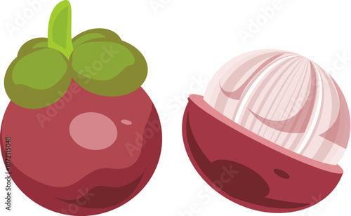 Mangosteen Illustration Whole and Sliced