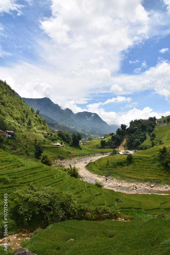 Rice fields and hills in Sapa, Vietnam Rice fields and hills in Sapa, Vietnam