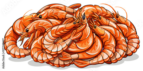 set of shrimp vector illustration