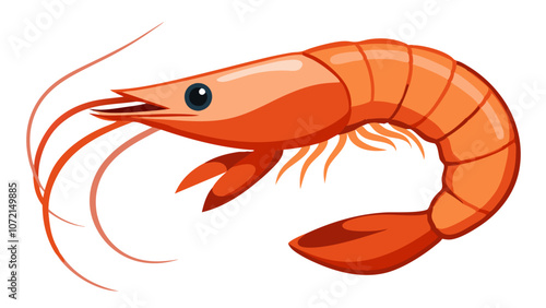 illustration of shrimp, shrimp vector art
